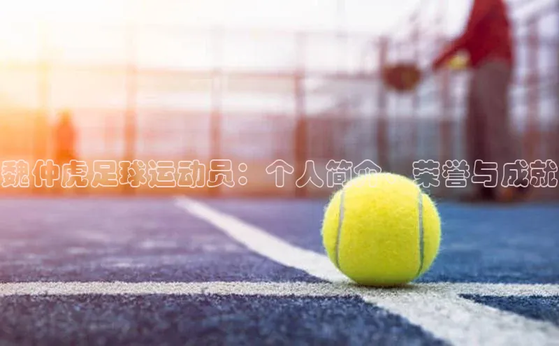 焦点注册入口小度商城魏仲虎足球运动员：个人简介、荣誉与成就