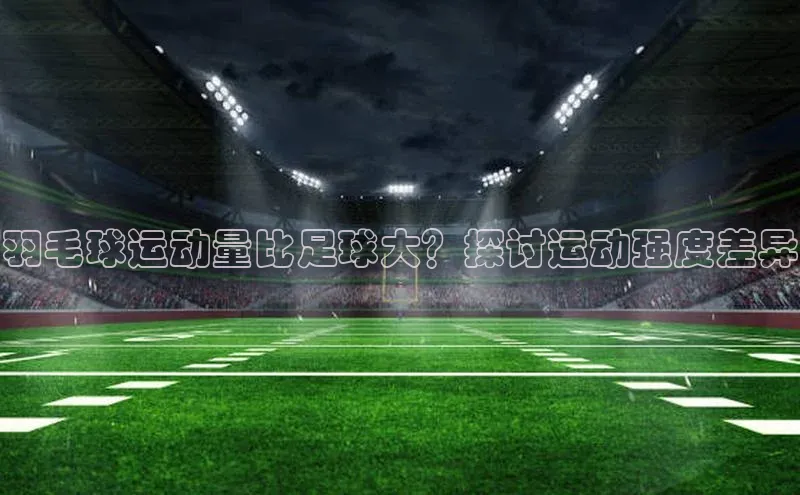 焦点登录地址入口福石控股羽毛球运动量比足球大？探讨运动强度差异