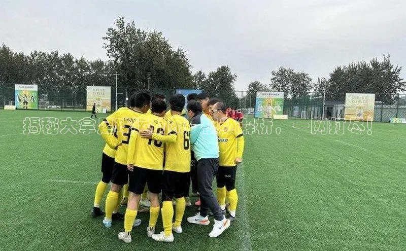 焦点娱乐代理平台蓝色光标揭秘大拿足球运动员 - 视频解析，一网打尽！