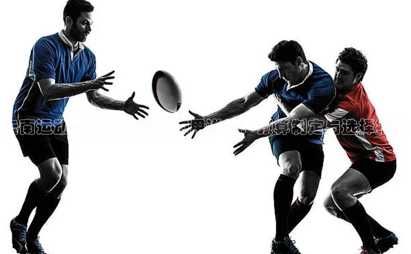 云南运动会场地租赁与费用详解：预算制定与选择指南