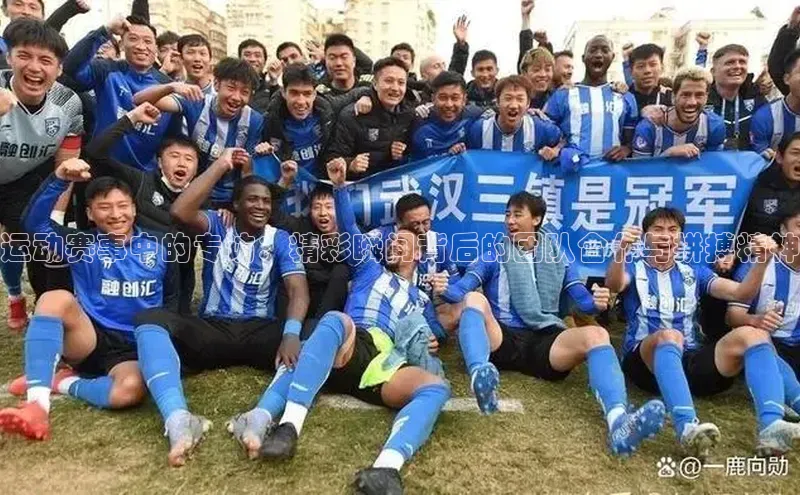 运动赛事中的专访：精彩瞬间背后的团队合作与拼搏精神