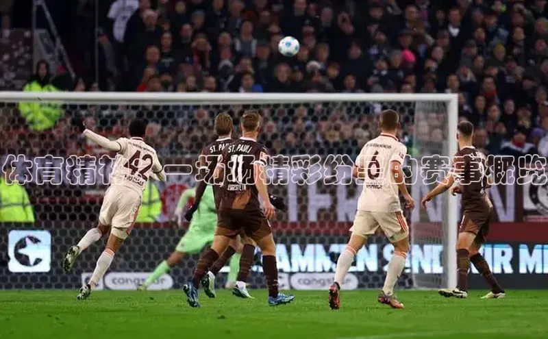 体育精神：一场场精彩纷呈的赛事概览