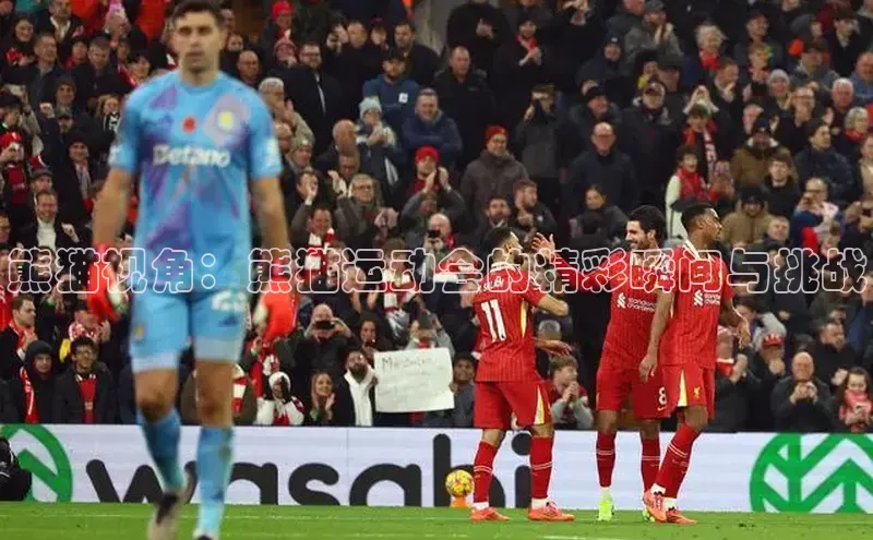 熊猫视角：熊猫运动会的精彩瞬间与挑战