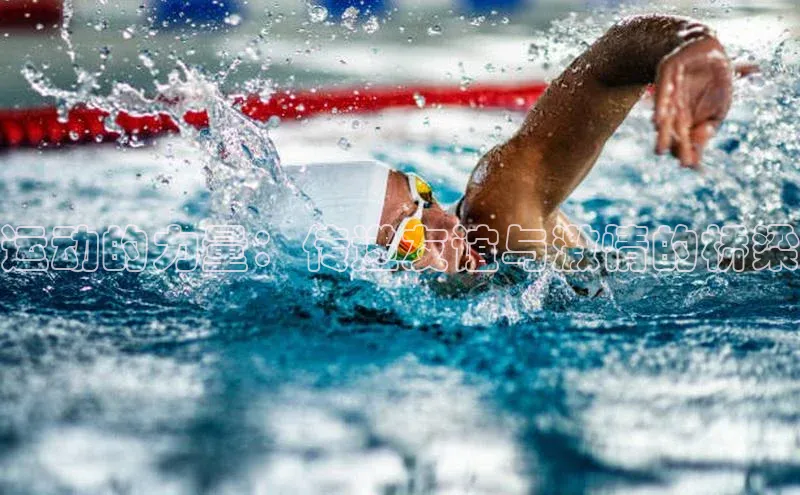 运动的力量：传递友谊与激情的桥梁