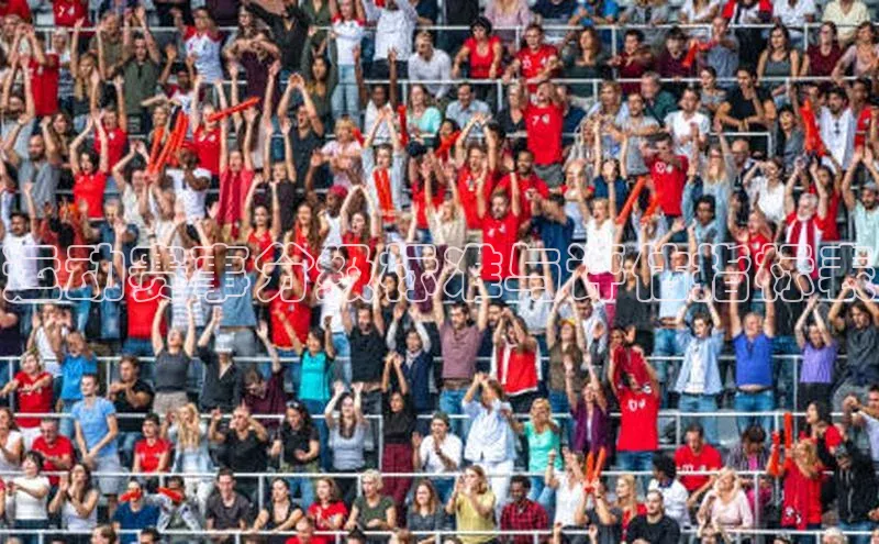 运动赛事分级标准与评估指标表