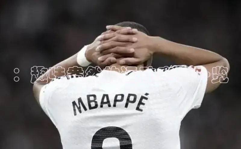 ：趣味盎然的运动赛事一览