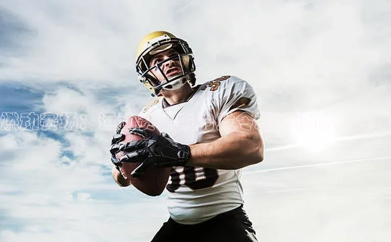 焦点手机登录平台