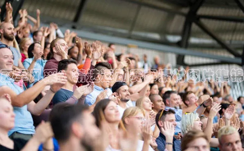 焦点中文app登录入口