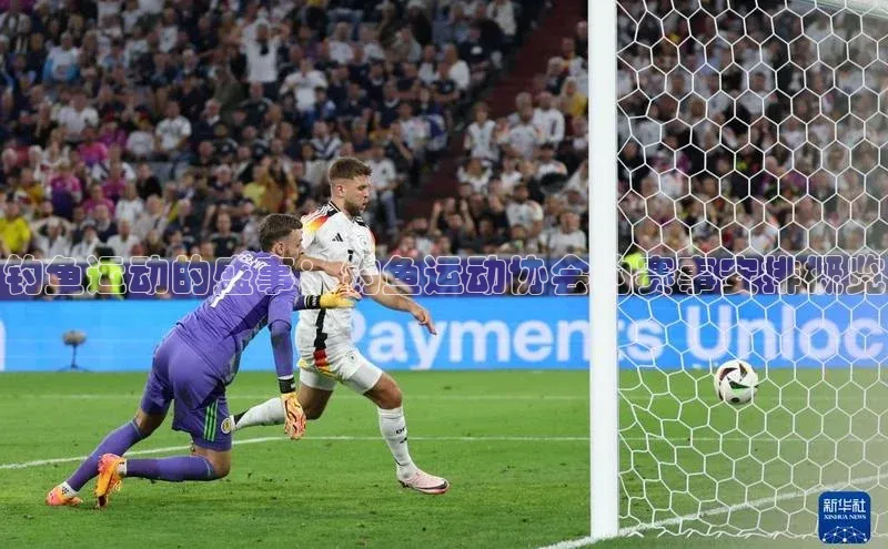 焦点娱乐下载手机版