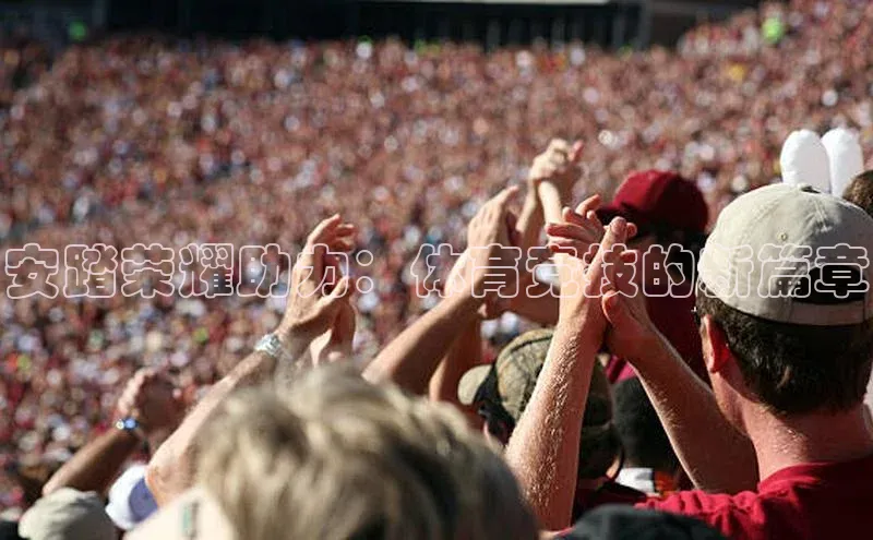 安踏荣耀助力：体育竞技的新篇章