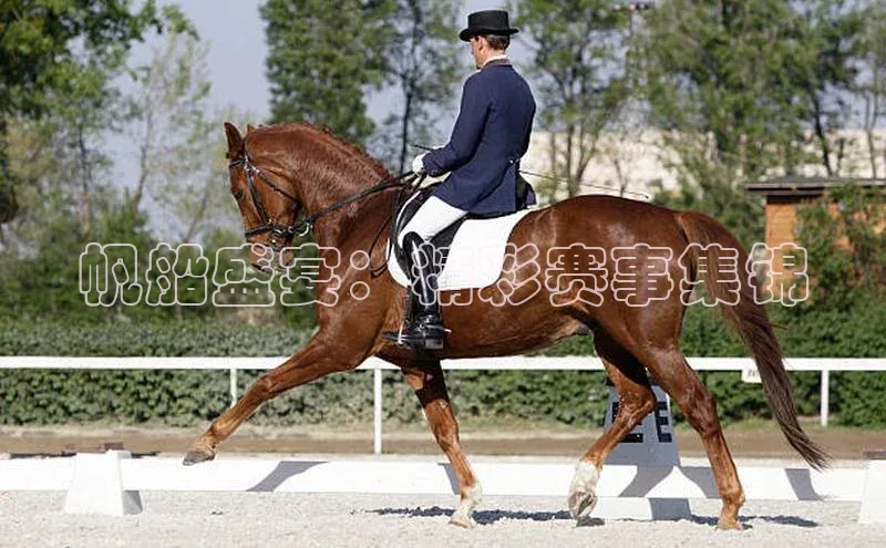 帆船盛宴：精彩赛事集锦